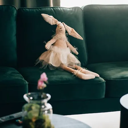 Lejlighed Apartament 14 Kościerzyna
